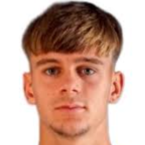 Дариус Габриэль Фэлкушан