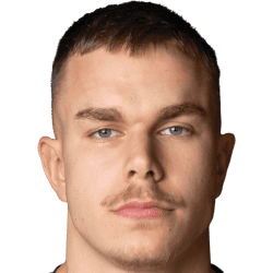 Dušan Jajić