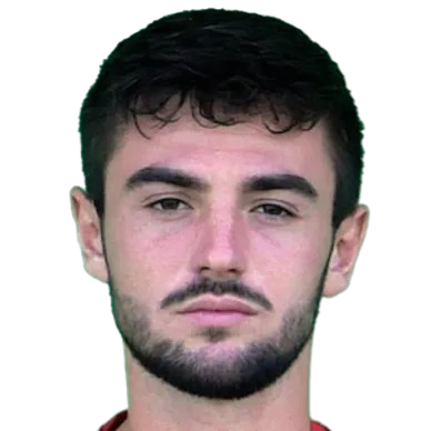 Д. Ланггамер