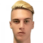 Д. Лико