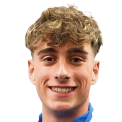 Д. Меденица