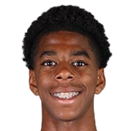 Дэянн Метали