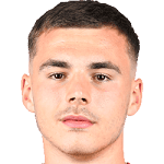 Д. Павлович