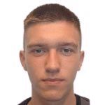 Д. Пидгурский