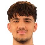 Демир Сарыджылы