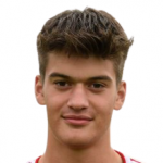 Драголюб Савич