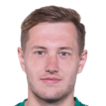 Д. Штепанек