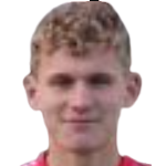 Д. Ван Вианен