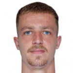 Д. Вашулин