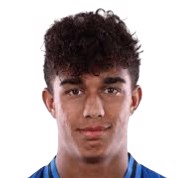 Доминик Вавассори