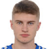 Димитриевски Л.