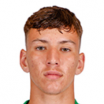 Диогу Травассуш