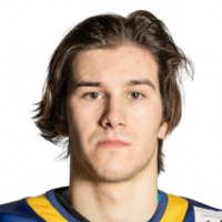 Никита Долгопятов