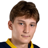 Domen Dolzan