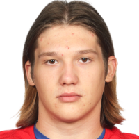 Владислав Дрожжин