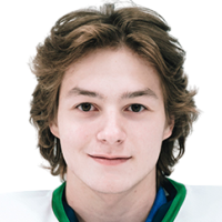 Александр Дюбин