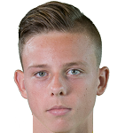 Э. Корнелисс