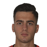 E. Мехмедович