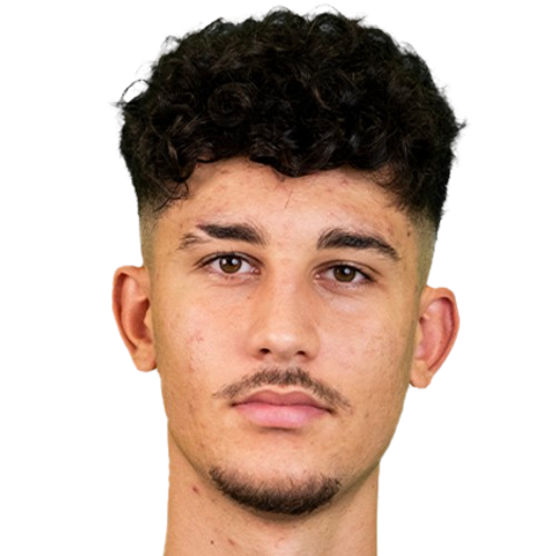 Э. Мызракджи