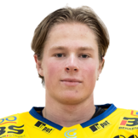 Патрик Elvsveen