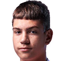 Ф. Лапоухов