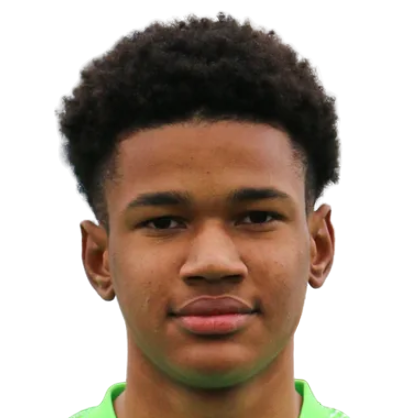 Фалли Маюлю