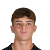 Ф. Палаццино