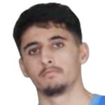 Ферит Кая
