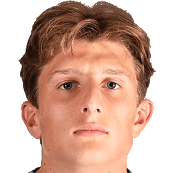 Д. Читтадини