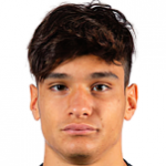 Д. Гарофани