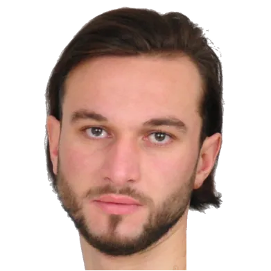 Г. Гоголашвили