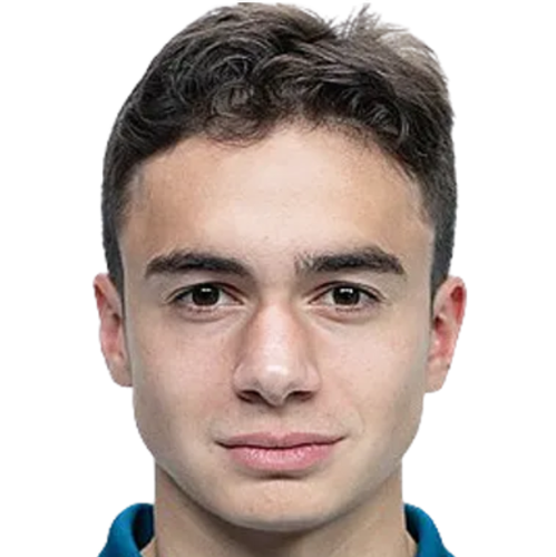 Г. Каргинов