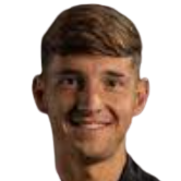 Г. Нарделли