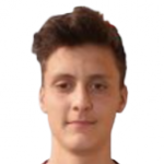 Габриэле Пицинини