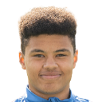 Г. Робестен