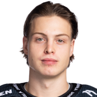 Франтишек Гайдош