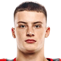 Михаил Gamzakov