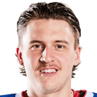 Леон Гаванке