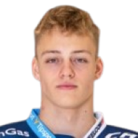 Vincent Глос
