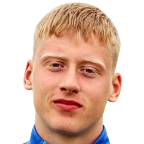 Х. Микаэльссон