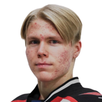 Haikonen A.