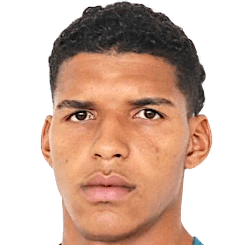 Хеде Холлс Роха да Силва