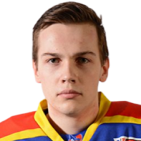 Владимир Hanus