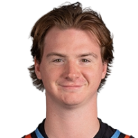 Дрю Хеллесон