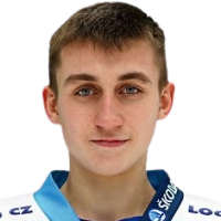 Ales Hofrajtr