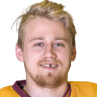 Dominik Hohl