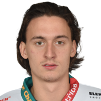 Vladislav Houska