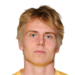 И. Амундсен