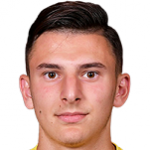 Янис Илие Стоика