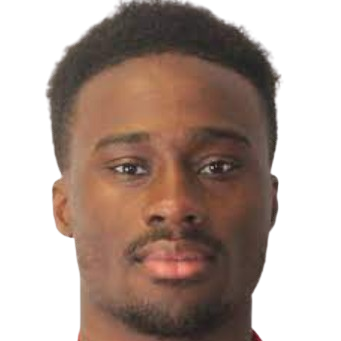 Д. Адебайо-Смит